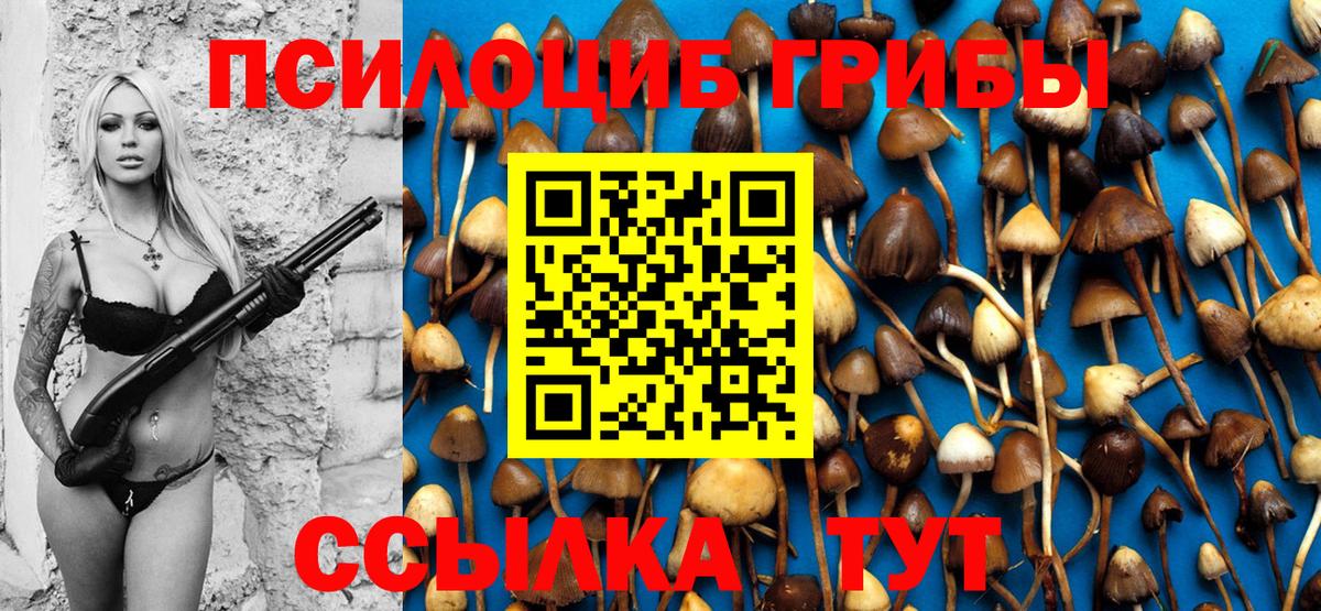 Псилоцибиновые грибы прущие грибы Воскресенск