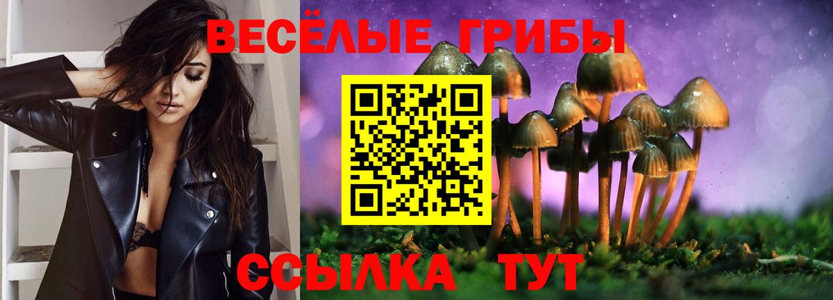 купить наркотики цена  Галлюциногенные грибы GOLDEN TEACHER  Галлюциногенные грибы мухоморы  Вход с VPN  Воскресенск 